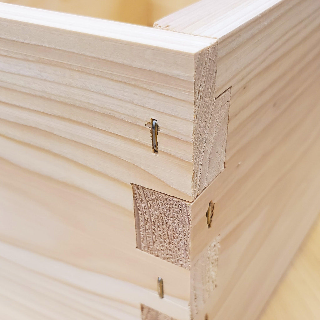 10-Frame Complete, Deep 9 5/8-inch Box with Frames and Foundation