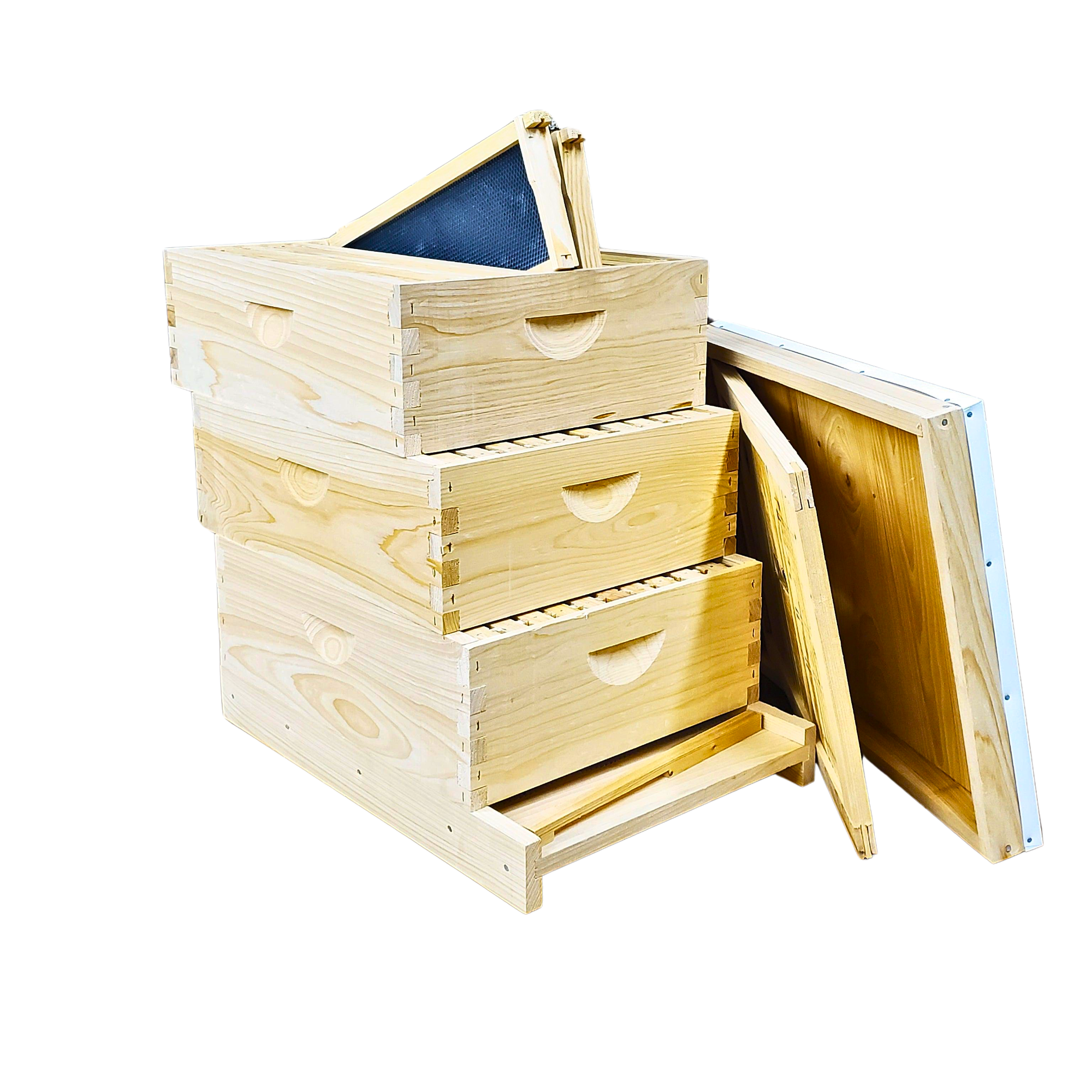 10-Frame All-Medium Box Hive Kit