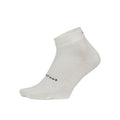 DeFeet Wooleator Pro 1'' Socks Natural L Pair