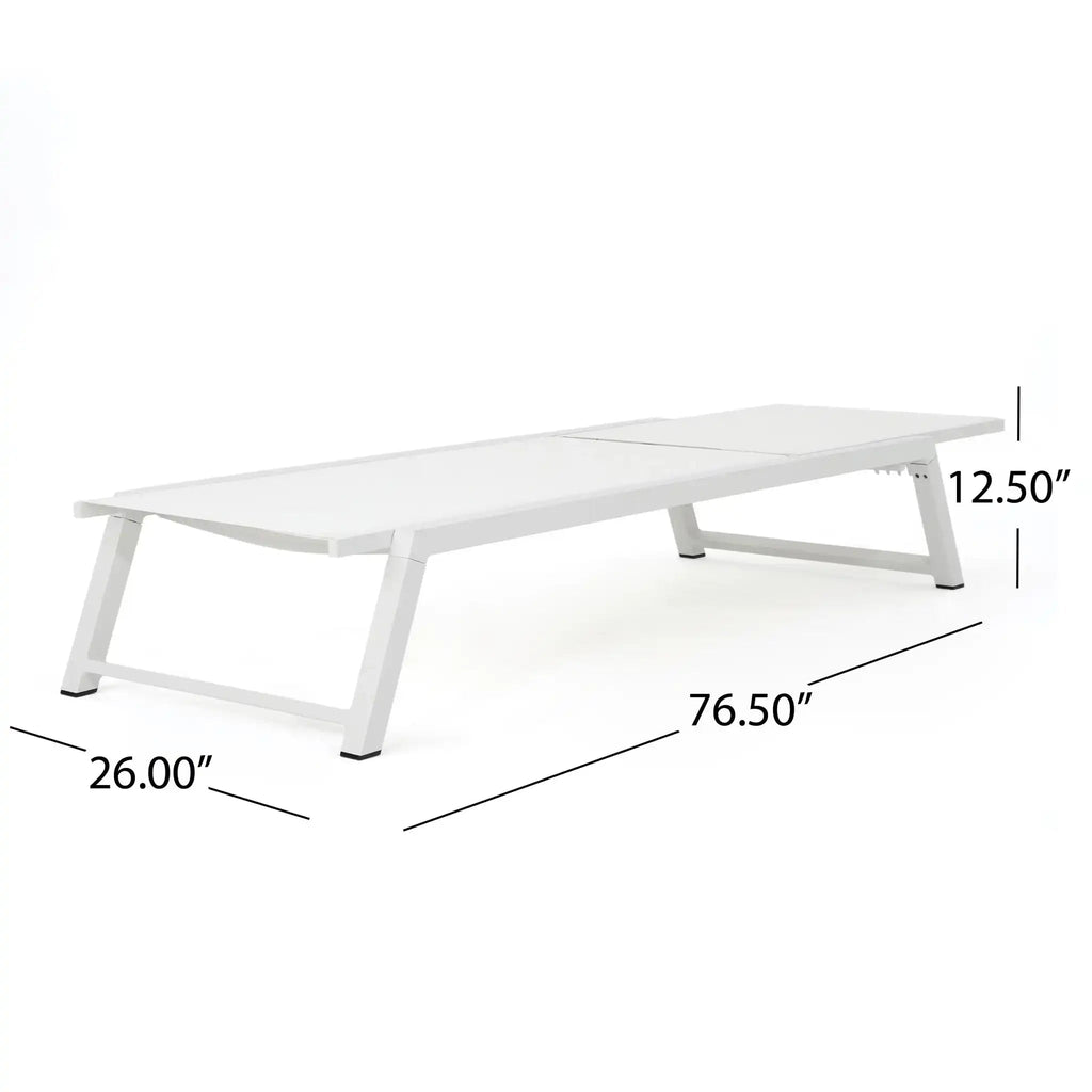 Myers Modern Chaise Lounge Set With Adjustable Back