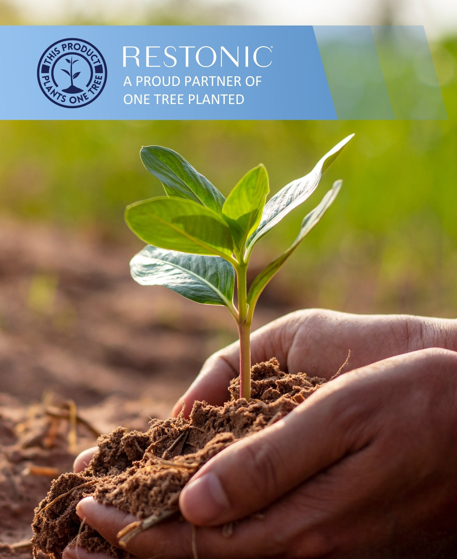 Restonic ComfortCare Hybrid Restful Nights Firm Queen Mattress