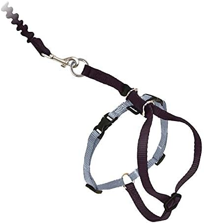 PetSafe Come With Me Kitty Harness and Bungee Leash, Harness for Cats, Medium, Black/Silver, CWMK-M-BLK | Adjustable 2-Point Fit Applies Gentle Pressure to Shoulders, Not Neck, for Small & Average Cats with 10.5 in - 14 in Girth