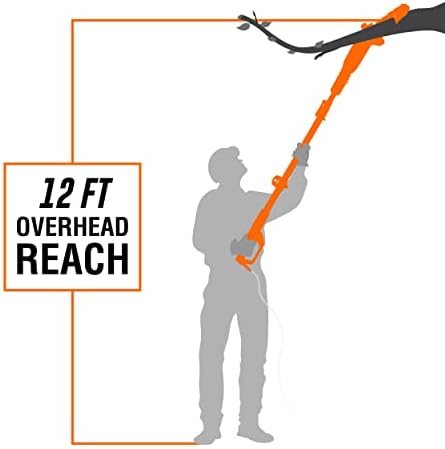 WEN 4019 6-Amp 8-Inch Electric Telescoping Pole Saw, Corded electric - Black&orange