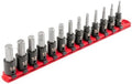 TEKTON 3/8 Inch Drive Hex Impact Bit Socket Set, 13-Piece | SIB91102 | (4 - 14 mm), Socket Rail