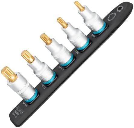 Hazet 990-SR/5 Smart Rail with Magnetic Base, 5 Slots, Drive: Square 12.5 mm (1/2 Inch), Output: Internal Multi-Tooth Profile XZN, Plastic Socket Spanner