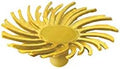 Dedeco Sunburst Radial Bristle Discs - 1/2” (12mm) Dia, Snap On, TC Bristles - Cleaning Buffer Polisher Rotary Tool Accessories, Coarse 80 Grit, Yellow Aluminum Oxide - 30 Piece Per Pack