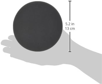 Festool 492374 Platin 2 S500 Grit 5-Inch (125mm) Diameter Abrasive Sanding Discs, 15-Pack