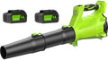 Leaf Blower Cordless with 2 x 3.0Ah Battery and Charger, 680CFM 260MPH Electric Blower with 2 Speeds, 20V Handheld Leaf Blower for Lawn Care, Blowing Leaves, Dust, Snow, Gravel for Patio, Yard, Green