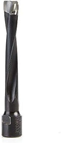 Amana Tool 316032 Carbide Tipped 2 Flute RH Rotation 10mm D x 70mm CH x M8x1 Thread for Domino Joining Machine for Festool