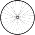 Quality Wheels Value Double Wall Series Disc Rear Wheel - 700 12 x 142mm Center-Lock HG 11 Road BLK 28H