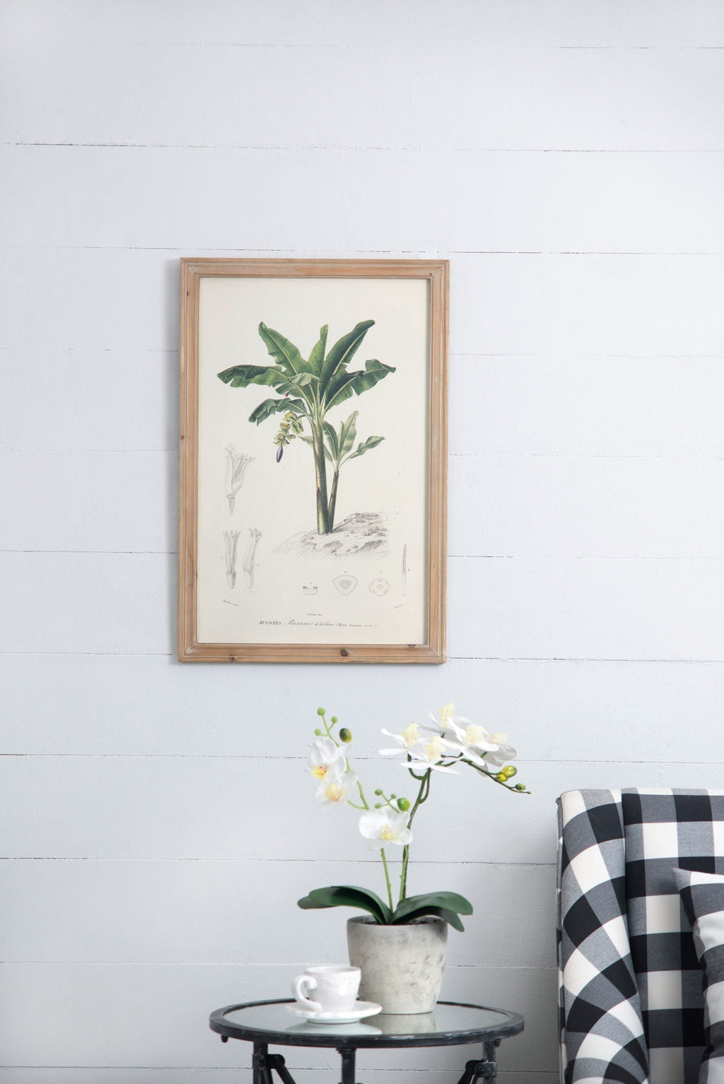 Tree Framed Print Set of 2 - Multicolor Botanical Wall Art
