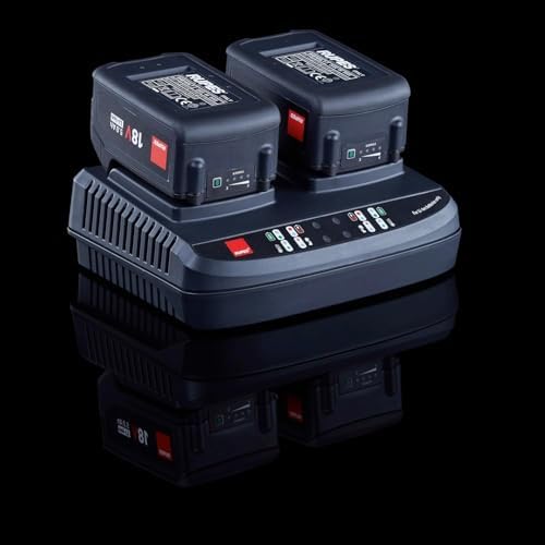 RUPES HLR21 BigFoot iBrid Random Orbital Cordless Polisher Tool with Dual Battery Charger & 2 Rechargeable Batteries
