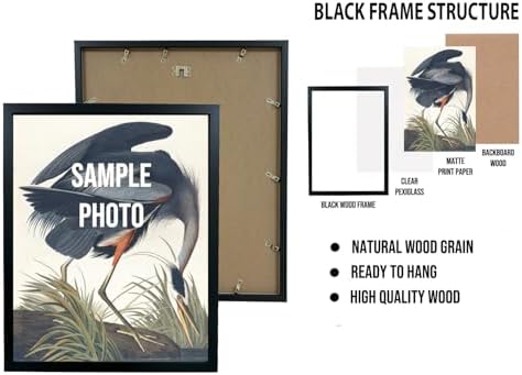 Siesta Key Beach Florida Black Framed Wall Art Print Poster, US Vintage Retro Beach Scenery Posters Prints for Restroom Home Picture Painting Artwork Gallery 219 (Siesta Key Beach Florida, 24"L x 18"W, Black Frame)