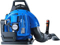 63CC Gas Backpack Leaf Blower, 2-Stroke Engine, 665 CFM, 205 MPH for Lawn Care, Yard Debris & Snow Removal