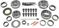 Yukon Gear & Axle (YK C8.0-IFS-C) Master Overhaul Kit for Chrysler 8" IFS Differential