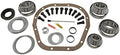 Yukon Master Overhaul kit for Ford 10.25" Differential