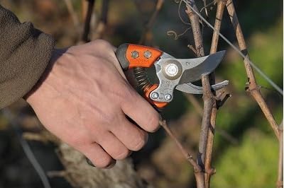 Bahco BAHPX-S2 ERGO Small Bypass Secateurs, 7" Length, Elastomer-Coated Fixed Soft Grip Handle, 3/4" Cutting Capacity, Lightweight Garden Pruners Designed for Comfort and Precision