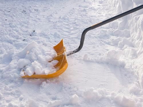 True Temper 1603072 18" Poly Snow Shovel