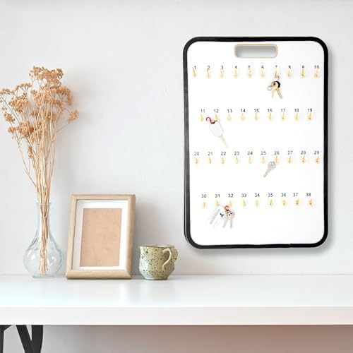SSWBasics Key Board with Self-Closing Tabs - 38 Hooks - 13 3/4" W x 20" L