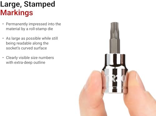 TEKTON Tamper-Resistant Torx Bit Socket Set, 12-Piece | SHB91104 | 3/8 Inch Drive, (TR10 - TR60), Socket Rail