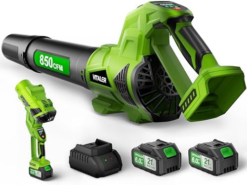 Leaf Blower Cordless, Brushless Blower 850 CFM 250 MPH with 2 Batteries