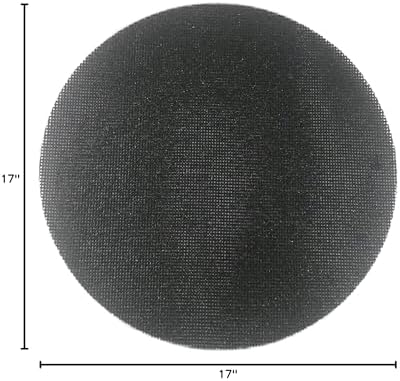 Sungold Abrasives 8150799 Silicon Carbide 100 Grit Screen Sanding Discs 10-Pack, 17"