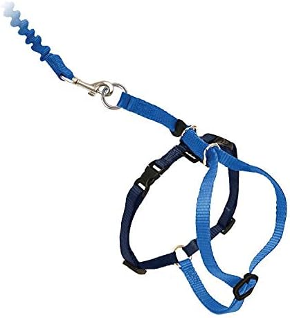 PetSafe Come with Me Kitty Harness and Bungee Cat Leash, Royal Blue, Large | Adjustable 2-Point Fit Applies Gentle Pressure to Shoulders, Not Neck, for Average and Large Cats with 13 in - 18 in Girth