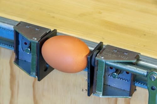 RALI Clamp