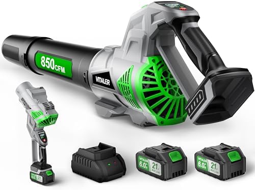 Leaf Blower Cordless, Brushless Blower 850 CFM 250 MPH with 2 Batteries