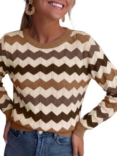 Womens Sweaters Crew Neck Long Sleeve Casual Fall Outfits Fashion Clothing