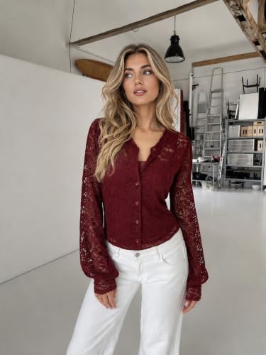 Zeagoo Long Sleeve Shirts for Women Lace Top Button Up Blouse Dressy Casual