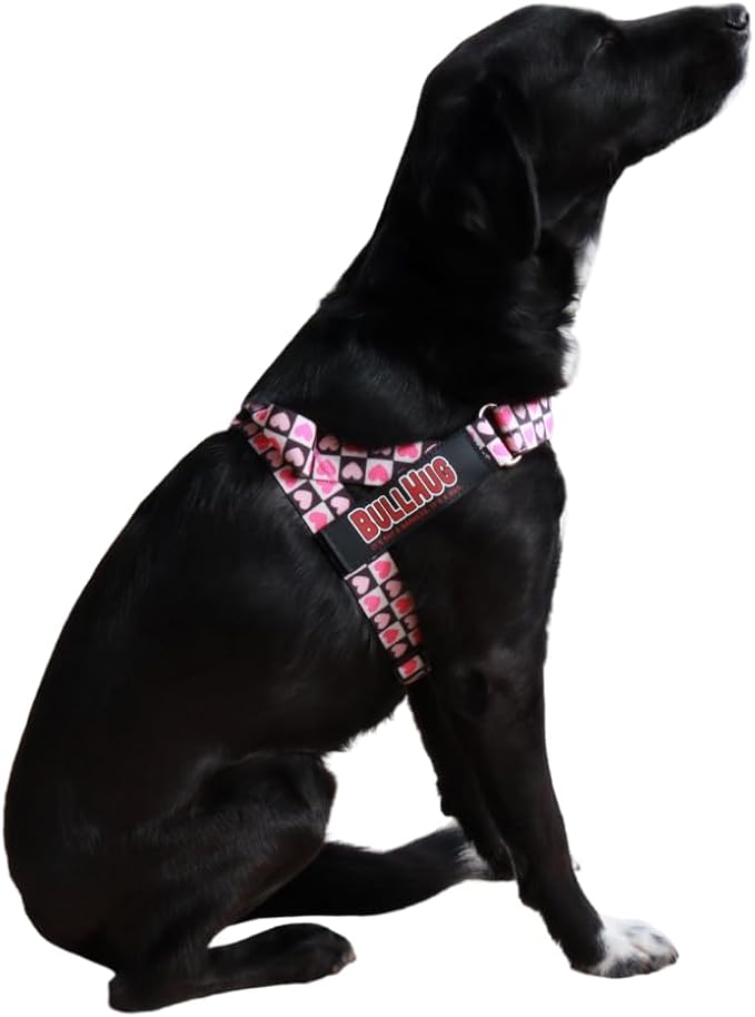 Adjustable Dog Harness– No Pull, No Choke – for English Bulldogs, French Bulldogs, Pugs & Broad-Chested Breeds – Easy, Safe Walks (Check, Medium)