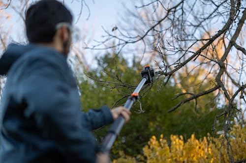 WEN 20V Max Cordless 2-in-1 6-Inch Chainsaw and Pole Saw with 12.3-Foot Reach, 4Ah Battery and Charger (20751)