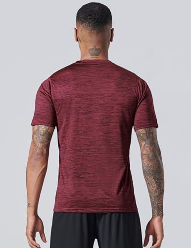 Liberty Imports 5 Pack Men's Active Quick Dry Crew Neck T Shirts