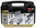 Pro-Grade 21-Piece 1/4in Drive SAE Socket Set with Storage Case, Heat-Treated Chrome Vanadium Steel, Nickel Chrome Plated, Professional Grade, 19206