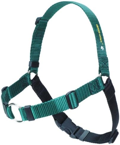 The Original Sense-ation No-Pull Dog Training Harness (Green, Medium-Large Narrow)