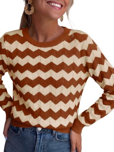 Womens Sweaters Crew Neck Long Sleeve Casual Fall Outfits Fashion Clothing