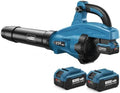 LITEKON Leaf Blower Cordless, 650CFM & 13 Speed Modes, Brushless Electric Cordless Leaf Blowers with 2 x 5.0Ah Batteries and Charger, 21V Powerful Blowers for Lawn Care, Blowing Leaves, Dust, Blue