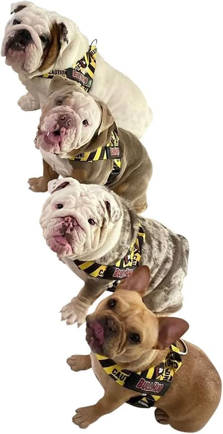 Adjustable Dog Harness– No Pull, No Choke – for English Bulldogs, French Bulldogs, Pugs & Broad-Chested Breeds – Easy, Safe Walks (Caution, Medium)