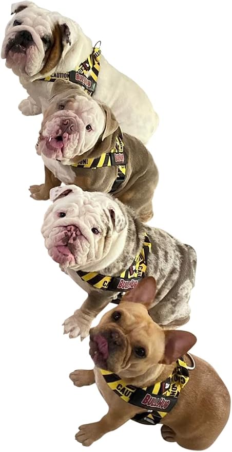 Adjustable Dog Harness– No Pull, No Choke – for English Bulldogs, French Bulldogs, Pugs & Broad-Chested Breeds – Easy, Safe Walks (Caution, XL)