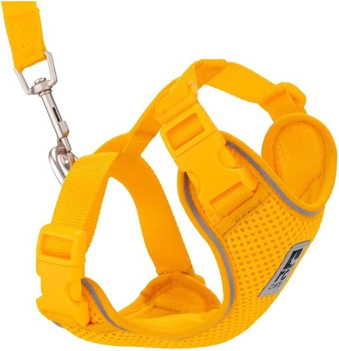 RC Pets Adventure Kitty Cat Harness | Adjustable Airmesh Vest with D-Ring and 6ft Leash for Walking and Travel | Marigold, Large