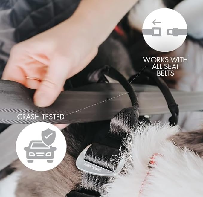 EzyDog Drive Dog Car Harness, Crash Tested and Certified - Small | US-FMVSS 213 Certified Dog Seat Belt Harness, Adjustable, Padded Comfort Chest Plate, Dual Metal SR Buckles
