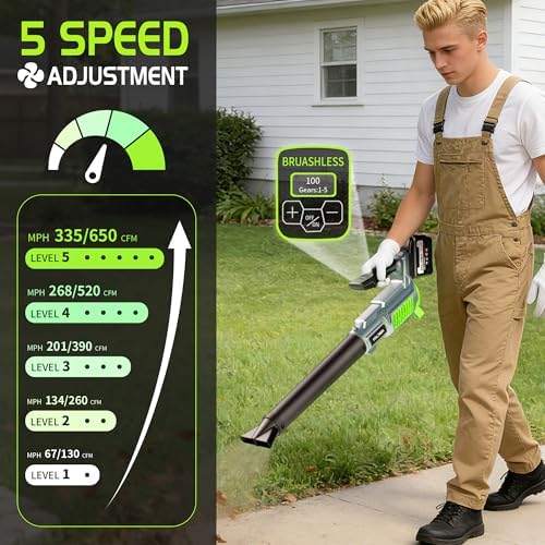 Cordless Leaf Blower,Snow Blower， 650CFM 335MPH, 21V 10Ah Battery