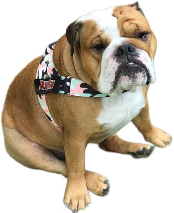 Adjustable Dog Harness– No Pull, No Choke – for English Bulldogs, French Bulldogs, Pugs & Broad-Chested Breeds – Easy, Safe Walks (Pink & Mint Camouflage, Medium)