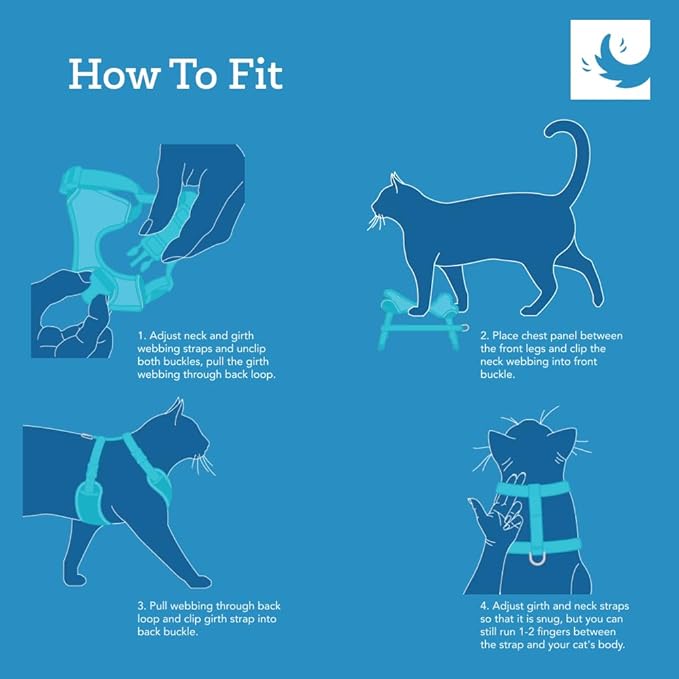 RC Pets Adventure Kitty Cat Harness | Adjustable Airmesh Vest with D-Ring and 6ft Leash for Walking and Travel | Lil Heart, Medium