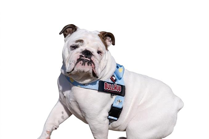 Adjustable Dog Harness– No Pull, No Choke – for English Bulldogs, French Bulldogs, Pugs & Broad-Chested Breeds – Easy, Safe Walks (Bumble BEE, Small)