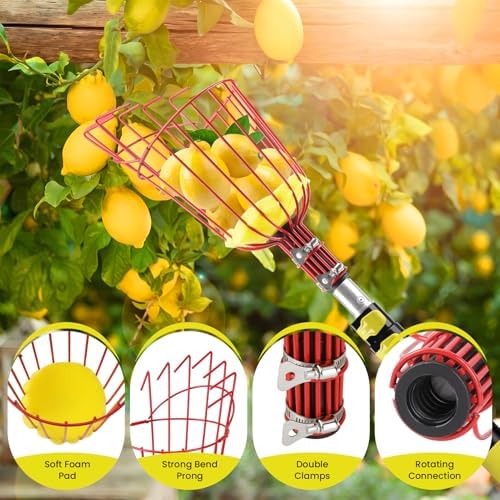 20FT Reach Fruit Picker with Basket, Apple Picking Tool Telescoping Pole, Long-Handle Mango Grabber, Tree Fruit Catcher for Harvesting Lemon Pear Orange Avocado Peach Citrus Grapefruit