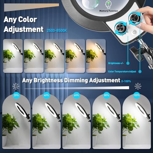 KIRKAS 12X 30X Magnifying Glass with Light and Stand, Overhead Knob 2 in 1