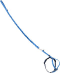 PetSafe Come with Me Kitty Harness and Bungee Cat Leash, Royal Blue, Small | Adjustable 2-Point Fit Applies Gentle Pressure to Shoulders, Not Neck, for Kittens and Small Cats with 9 in - 11 in Girth