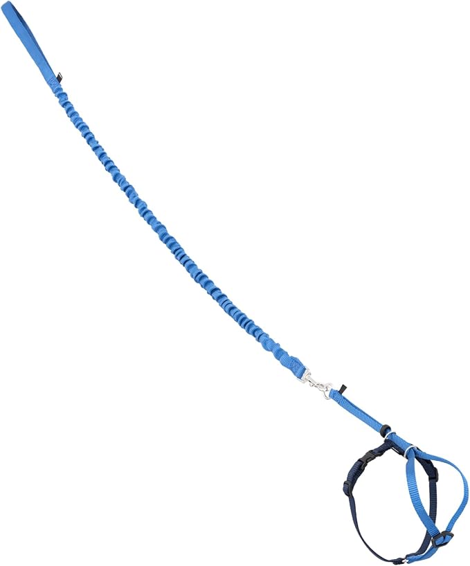 PetSafe Come with Me Kitty Harness and Bungee Cat Leash, Royal Blue, Small | Adjustable 2-Point Fit Applies Gentle Pressure to Shoulders, Not Neck, for Kittens and Small Cats with 9 in - 11 in Girth